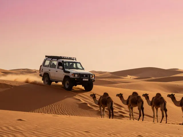 Top Legal Adventures in Abu Dhabi: Safe, Thrilling Experiences